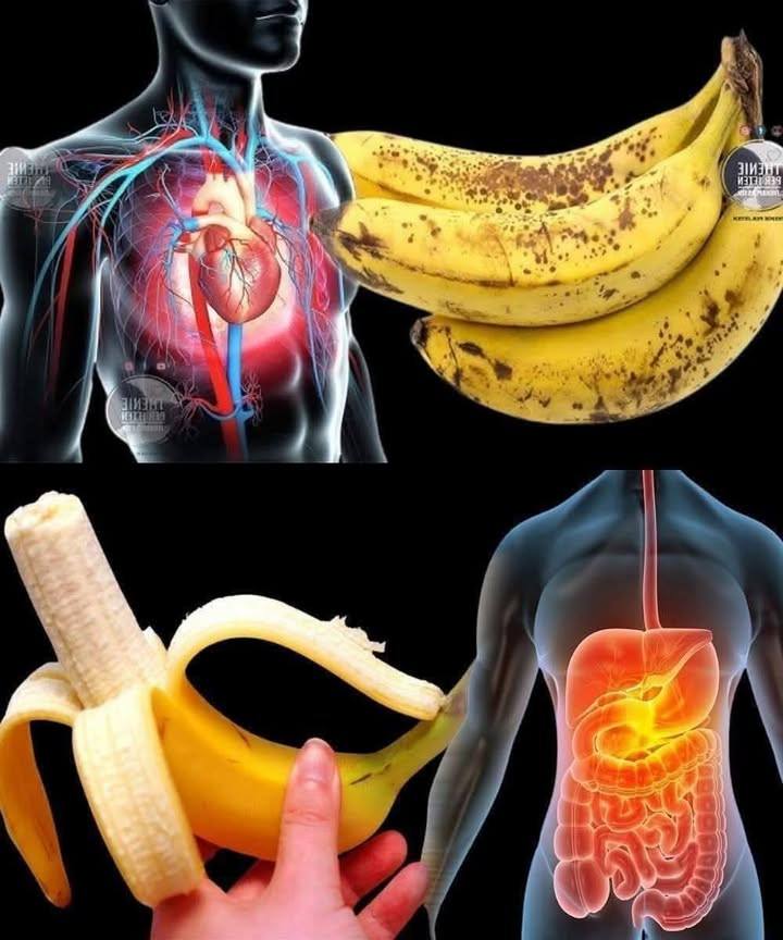 Visste du at det å spise bananer øker… Se mer
