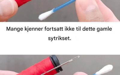 Mestrer kunsten å nåletræ