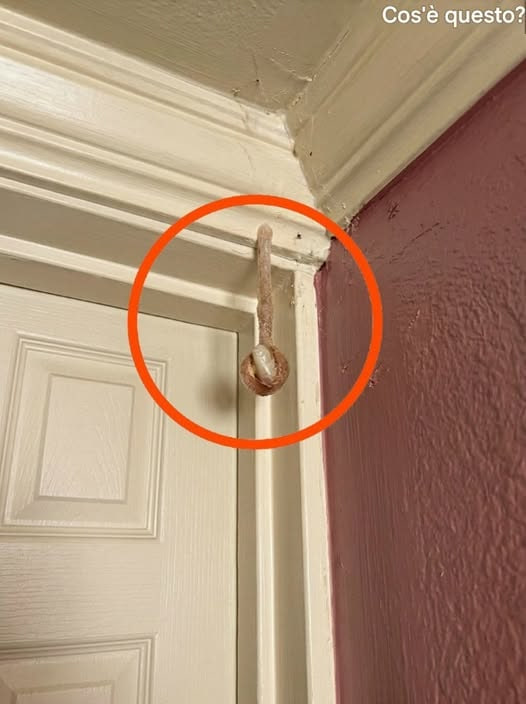 Mój mąż i ja zarezerwowaliśmy pokój w hotelu na wakacje. W pokoju odkryłam to. Gapię się na to od pół godziny, ale nadal nie mogę dojść, co to jest. Czy ktoś wie, co to jest? Odpowiedź jest w pierwszym komentarzu. Cały artykuł znajduje się również w tym komentarzu.