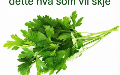Hvis du spiser persille hver dag, er dette hva som vil skje