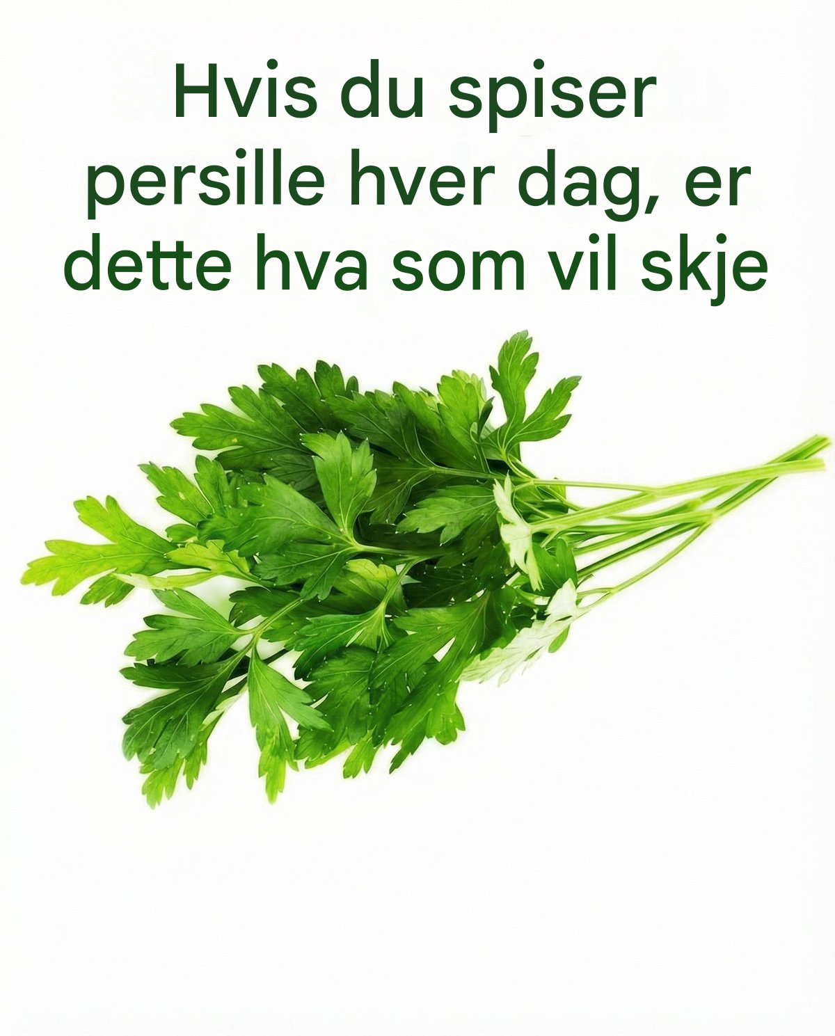 Hvis du spiser persille hver dag, er dette hva som vil skje