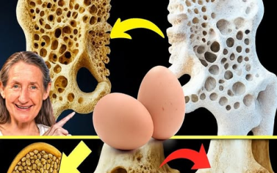 16 toppmatvarer for å styrke beinene dine og bekjempe osteoporose
