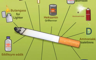 Hver gang du røyker, er dette hva du faktisk inntar