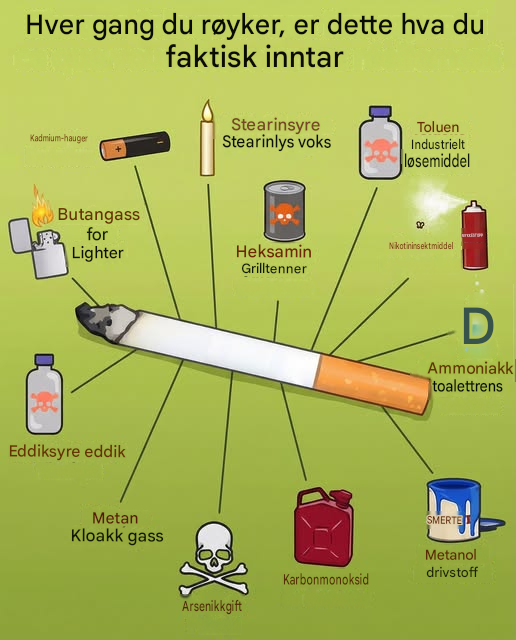 Hver gang du røyker, er dette hva du faktisk inntar