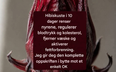 Jamaicansk blomstergelé med kanel og nellik