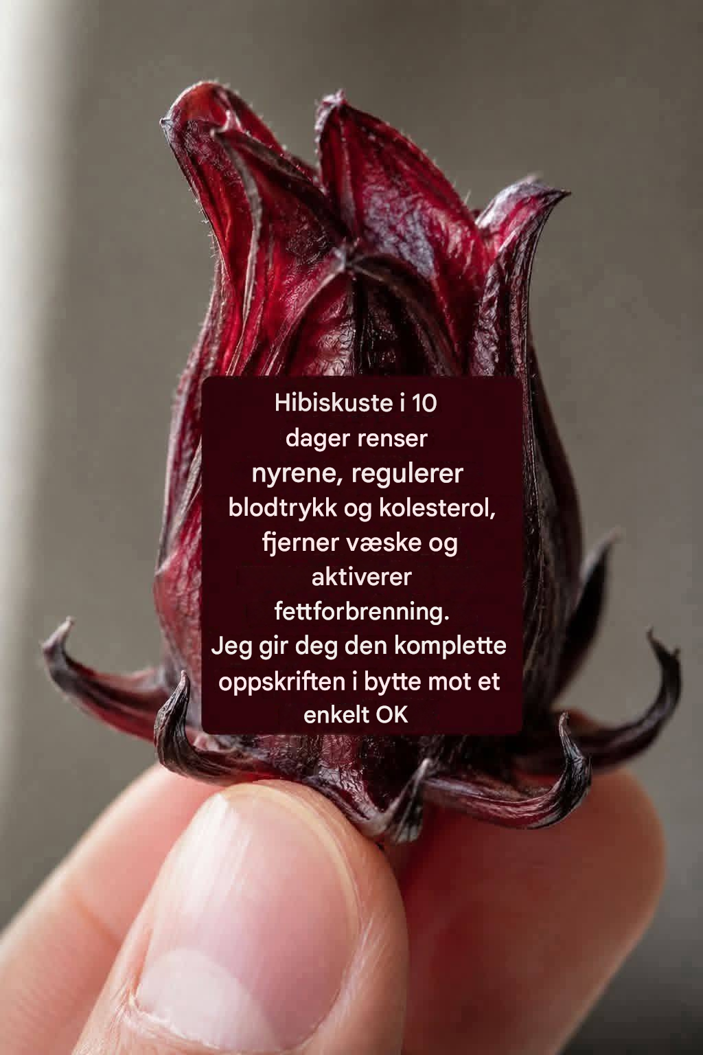 Jamaicansk blomstergelé med kanel og nellik