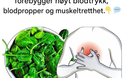 17 matvarer som øker magnesium og forhindrer høyt blodtrykk, blodpropp og muskeltretthet
