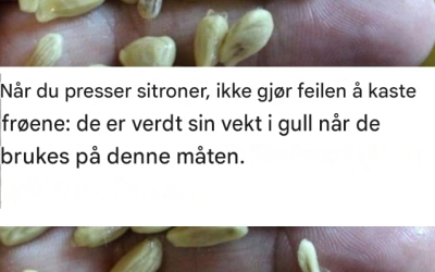 Når du presser sitroner, ikke gjør feilen å kaste frøene: de er verdt sin vekt i gull når de brukes på denne måten.