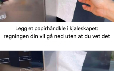 Legg et papirhåndkle i kjøleskapet: regningen din vil gå ned uten at du engang vet det.