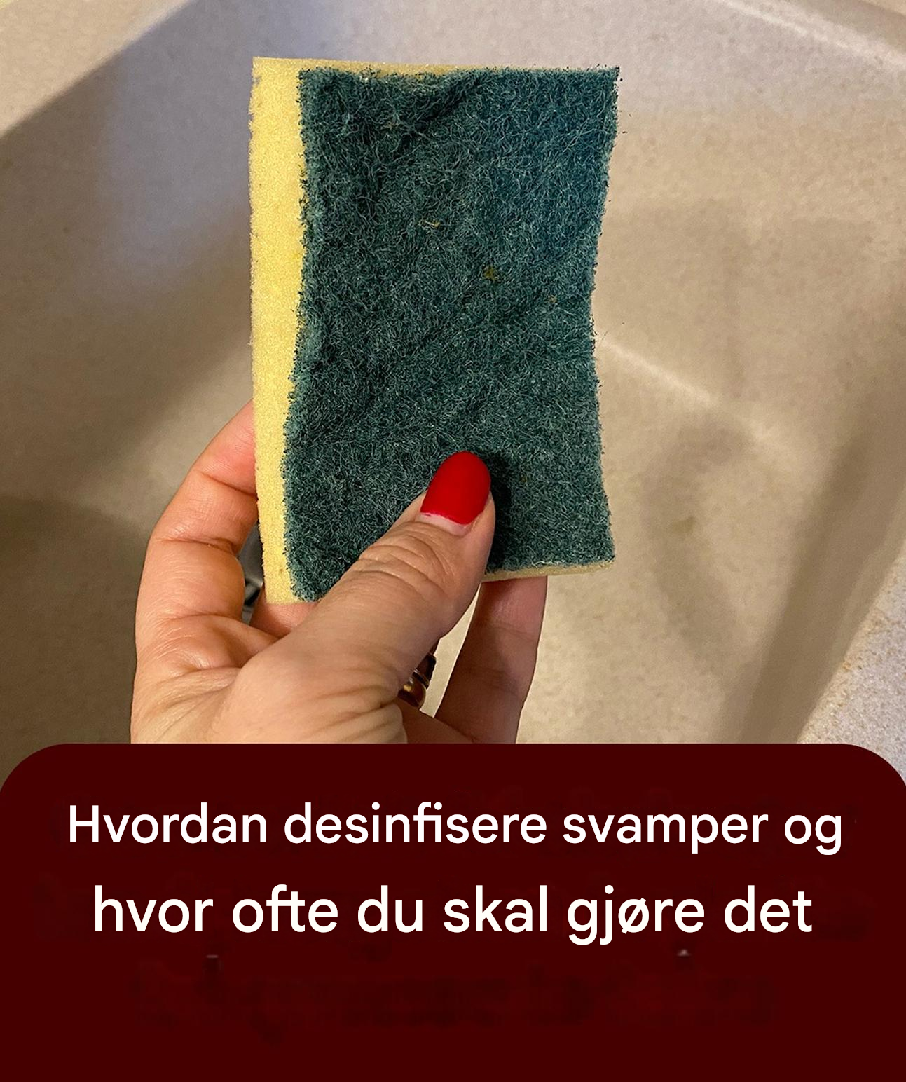 Svamper: fra mikrobølgeovn til kokende vann, hvordan desinfisere dem og forholdsregler du bør ta