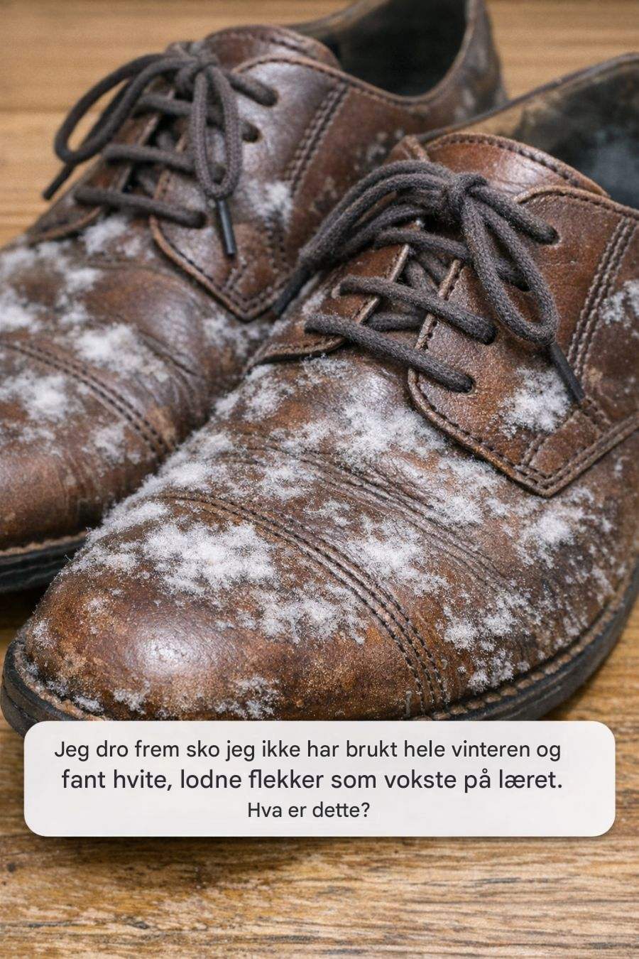 Jeg dro frem sko jeg ikke har brukt hele vinteren og fant hvite, lodne flekker som vokste på læret. Hva er dette?