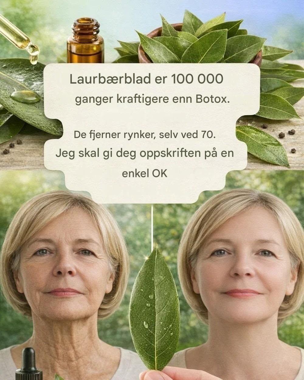 Laurbærbladene er 100 000 ganger mer potente enn Botox. De fjerner rynker, selv som 70-åring. Legg igjen et «OK» for å se oppskriften i den første kommentaren.