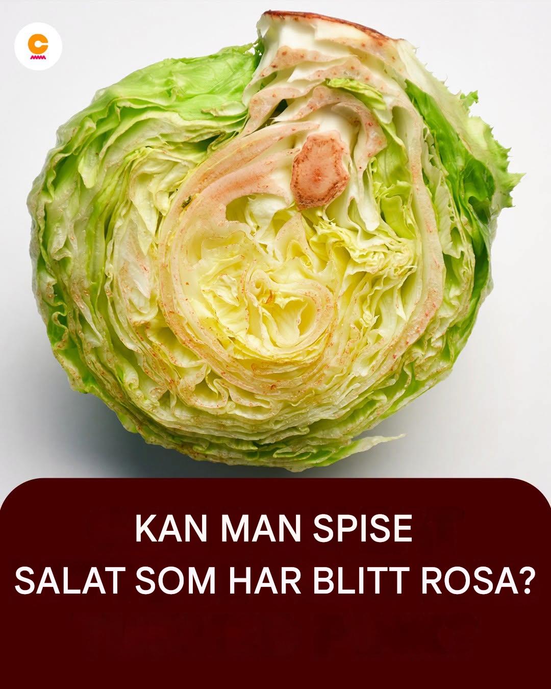 Kan du spise salat som har blitt rosa?