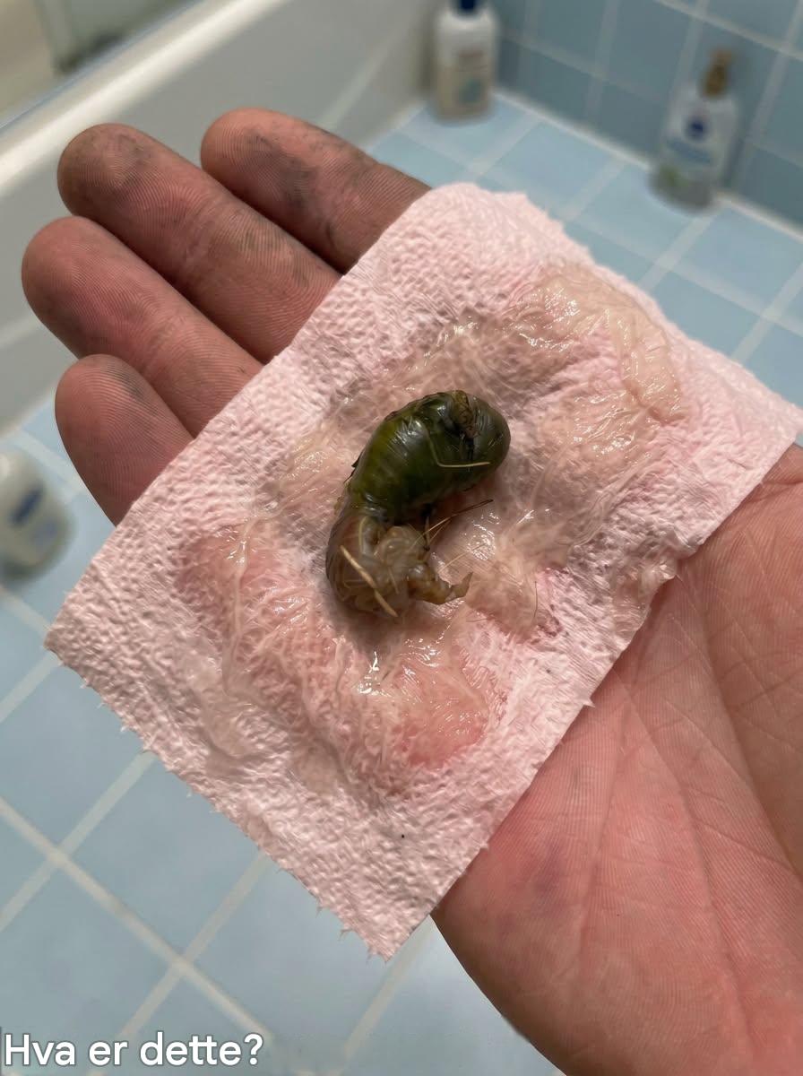 Hun oppdager en mystisk gjenstand på badet sitt: sannheten hadde vært rett foran nesen hennes hele tiden.