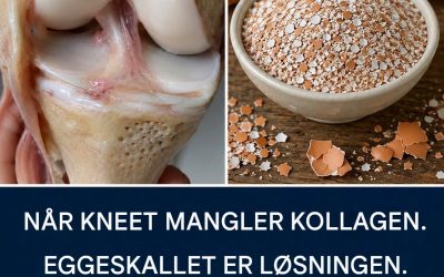 Er eggeskall virkelig bra for leddene dine? Hva vitenskapen sier